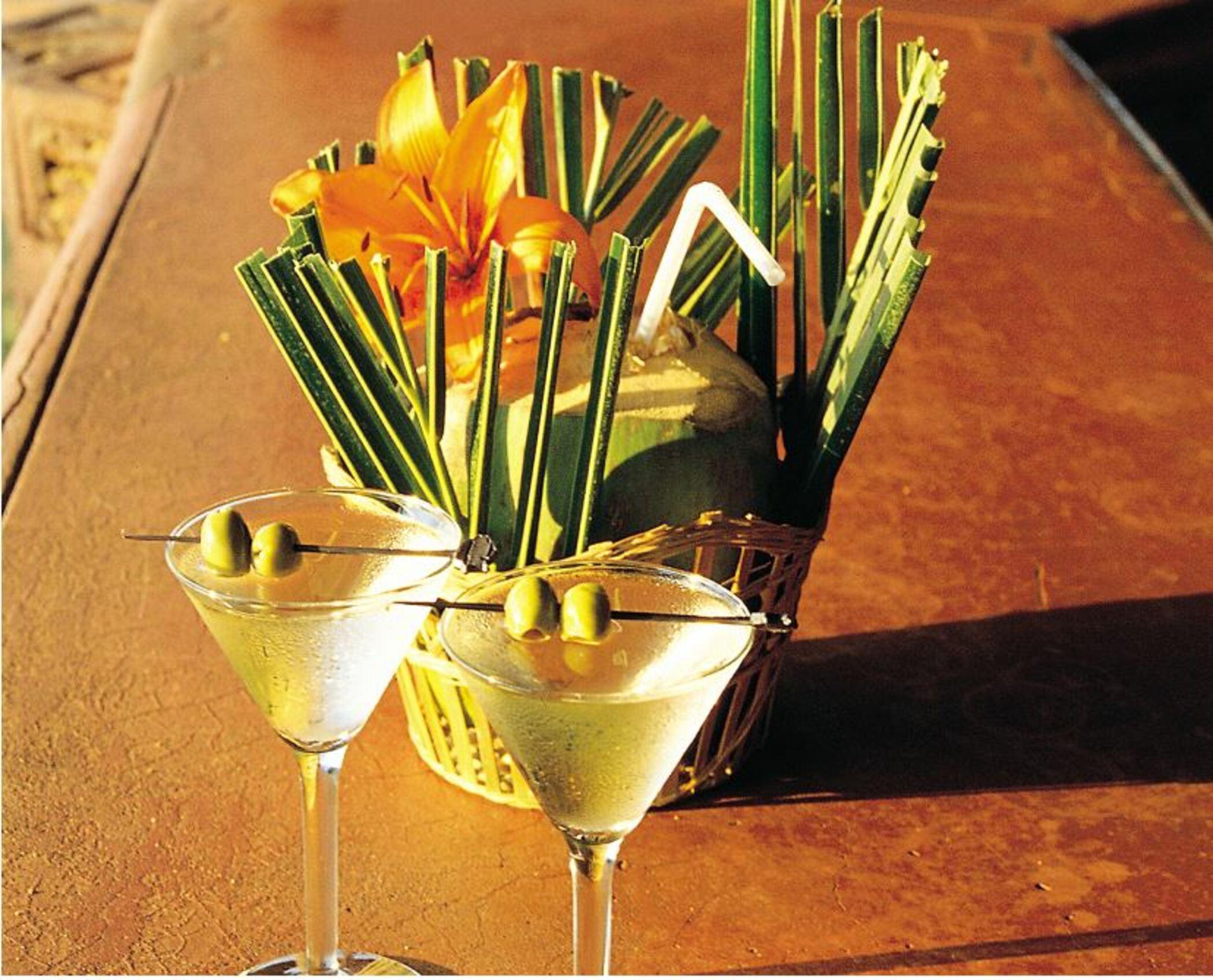 Taj Fort Aguada Resort & Spa, Goa 신궤림 외부 사진 A dry martini